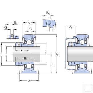sy_2._fm_24970_td.jpg