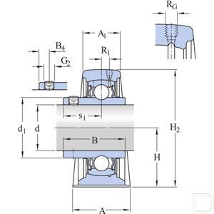 syj_100_tf_24970_3_td.jpg