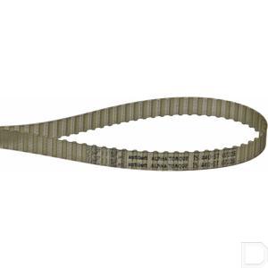 t544010.jpg