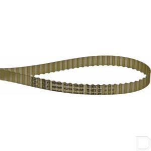 t545510.jpg