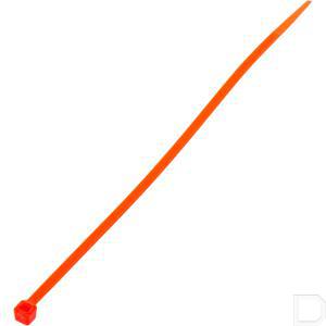 tr0136200red_2.jpg