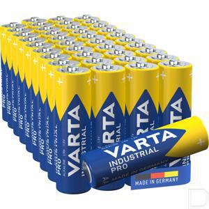 vt4006211354_2.jpg