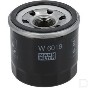 w6018.jpg