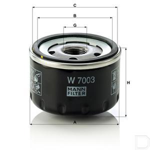 w_7003_28857_td.jpg