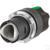 020smlav_13432_2.jpg