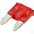 fs30010a_3.jpg