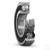 skf_sicsupplieritem_48158445.jpg