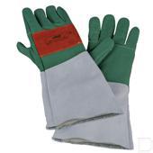 Zaaghandschoenen