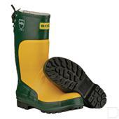 Bosbouwschoenen en -laarzen